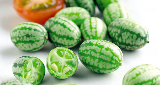 CUCAMELON CUCAMELON