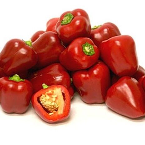 pepper-sweet-mini-bell-red